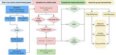 Identification of Context-Specific Fitness Genes Associated With Metabolic Rearrangements for Prognosis and Potential Treatment Targets for Liver Cancer